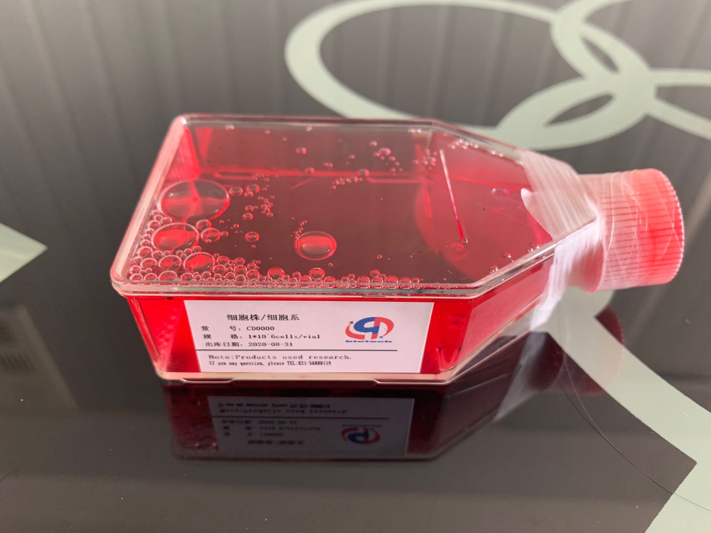 Cell Culture Is No Trivial Matter (1)
