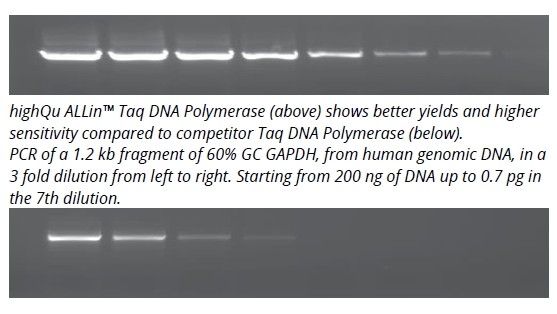 ALLin™ Taq-DNA聚合酶