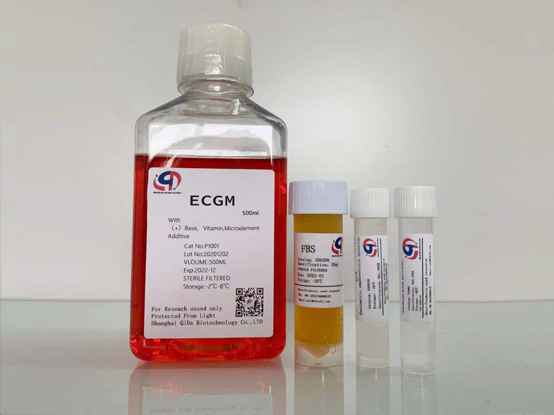 ECGM内皮细胞培养基