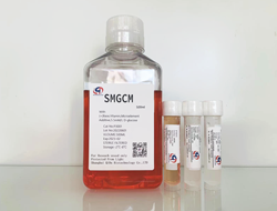  SMGCM Smooth Muscle Cell Medium