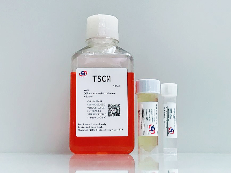 TSCM肿瘤干细胞成球培养基-无血清