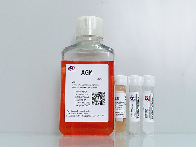 星形胶质细胞培养基 AGM