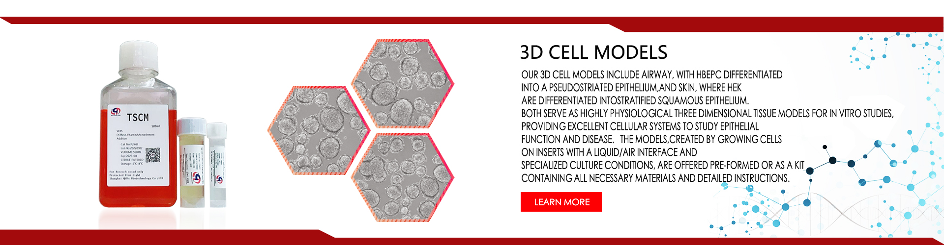 Experimental Steps for Protein Imprinting (Fluorescence)