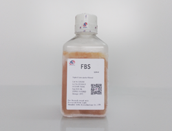 Fetal Bovine Serum FBS (Advance to superior)