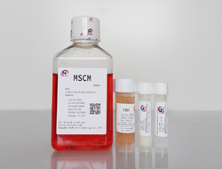  MSCM Mmesenchymal Stem Cell Medium