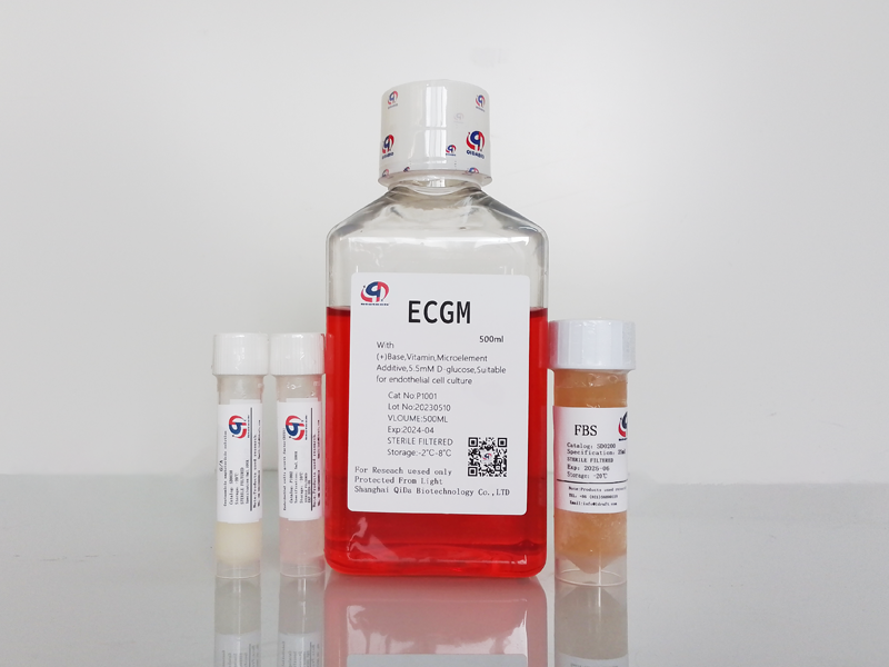 ECGM内皮细胞培养基