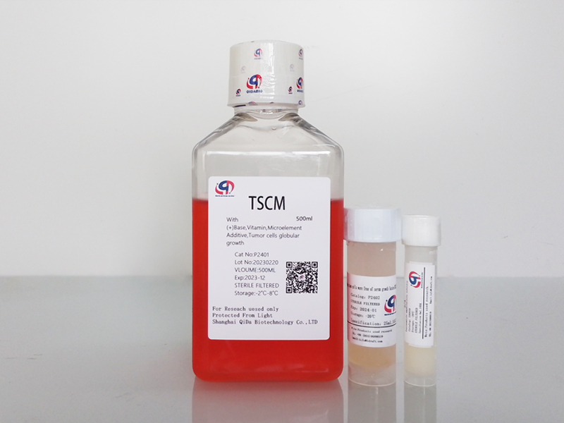TSCM Tumor stem Cell Ball culture medium - Serum free buy 2 get 1 free