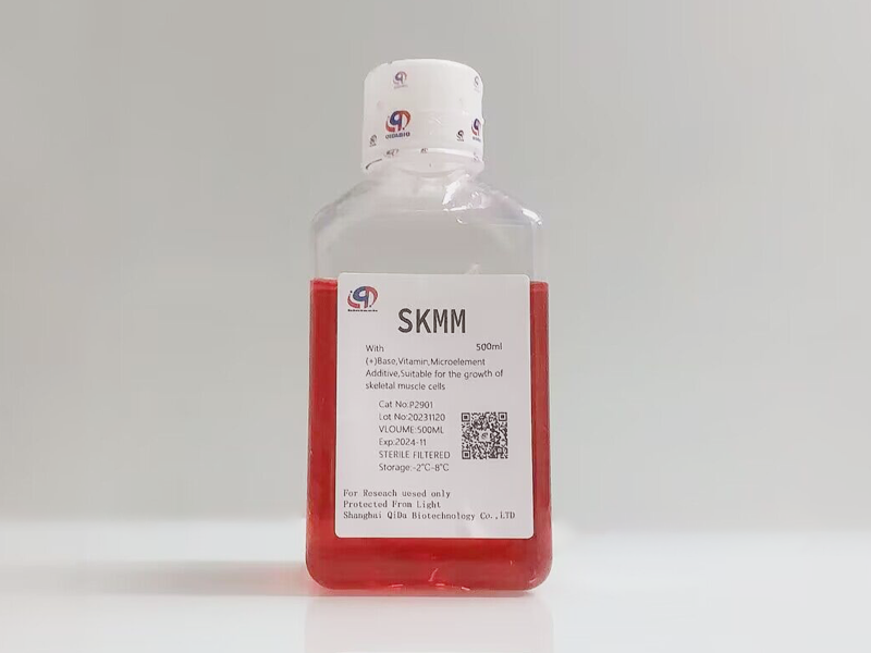 SKMM 骨骼肌细胞基础培养基 