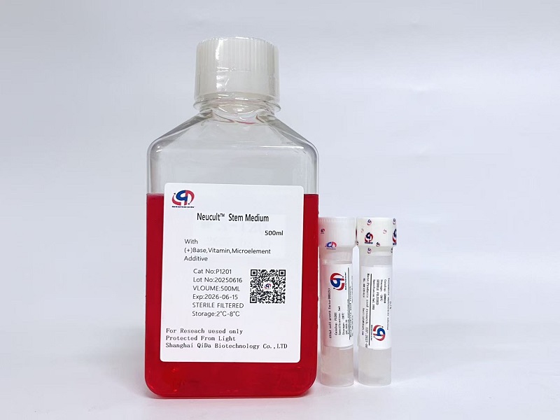 NSCM-Serum Free 无血清神经干细胞培养基