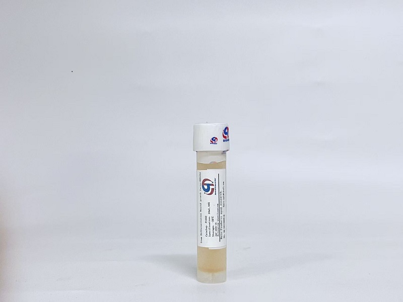 干细胞分化神经细胞生长因子（Stem Cell Neural Differentiation Factor）