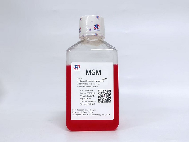 MGM肾系膜细胞基础培养基