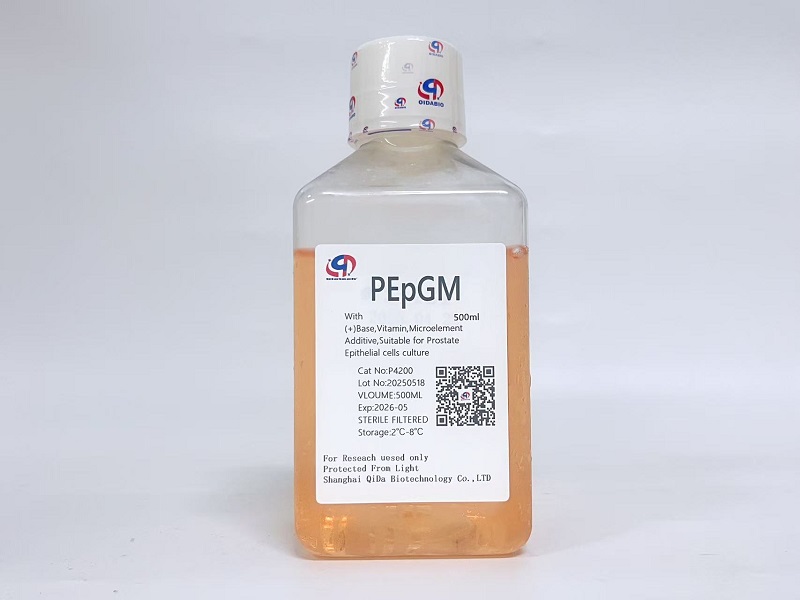 PEpGM前列腺上皮细胞基础培养基