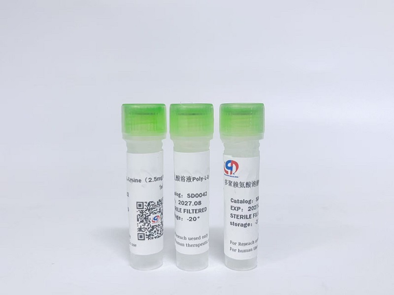 多聚赖氨酸溶液Poly-L-Lysine（2.5mg/ml）