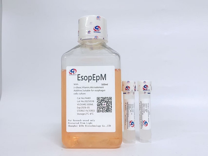 EsopEp 食道上皮细胞培养基