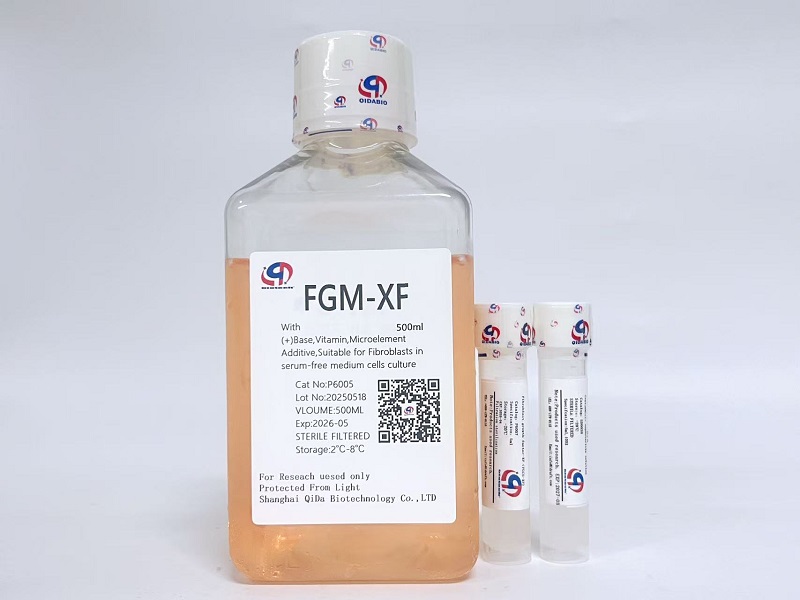 FGM成纤维细胞培养基（无血清）