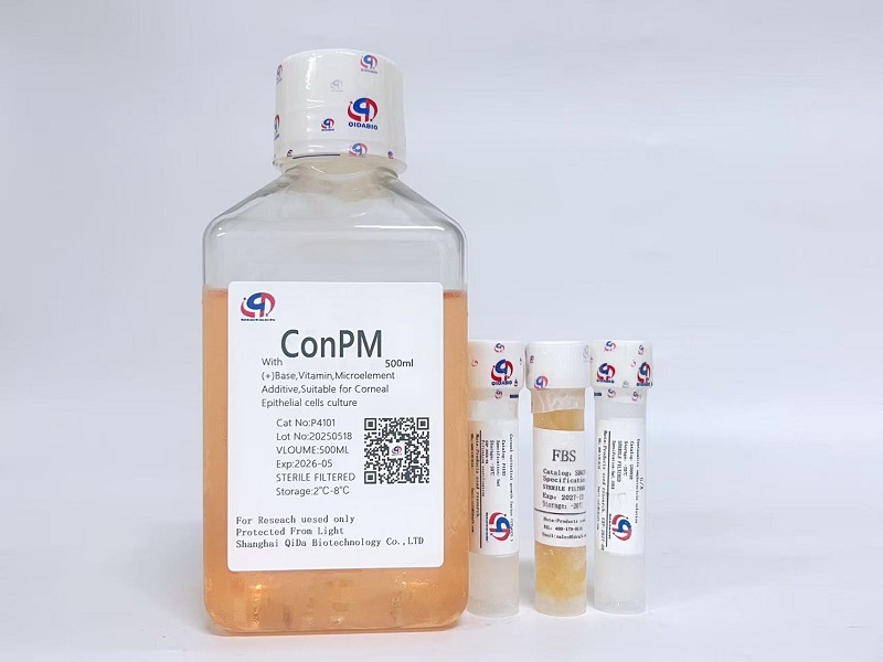 CEpGM角膜上皮细胞培养基