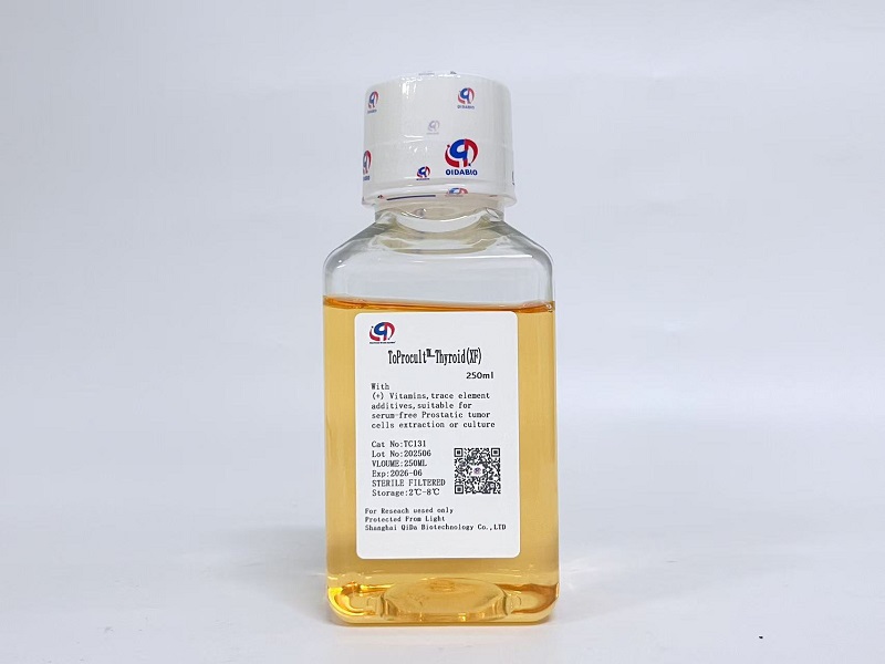 ToProcult™-Thyroid Basic Medium原代甲状腺癌细胞基础培养基（XF）