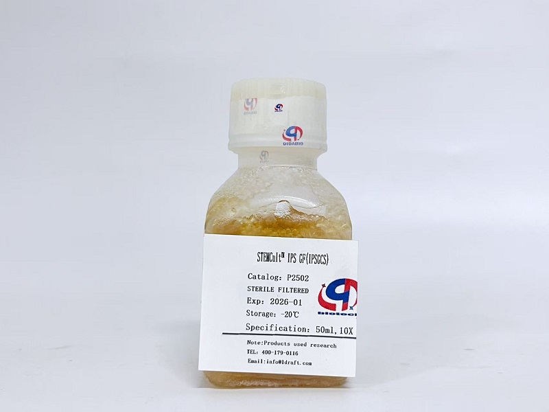  STEMCult™ IPS GF