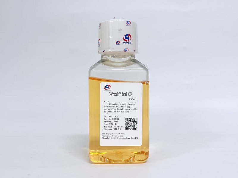 ToProcult™-Renal Basic Medium原代肾癌细胞基础培养基（XF）