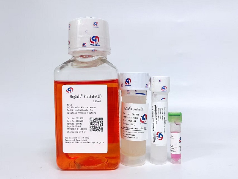 OrgCult™-Prostate前列腺癌类器官培养基