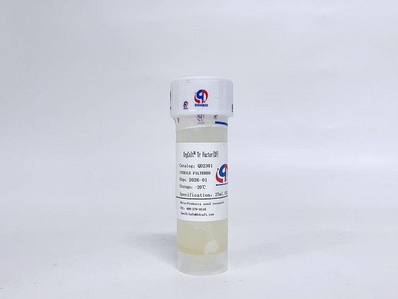 OrgCult™ Tr  Factor(XF)滋养层类器官培养基生长因子