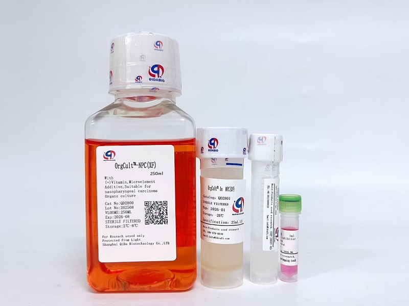 OrgCult™-NPC鼻咽癌类器官培养基