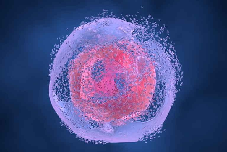 Practical knowledge: steps 1.2.3 of cell lysis