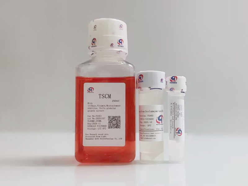 TSCM Tumor stem Cell Ball culture medium - Serum free buy 2 get 1 free
