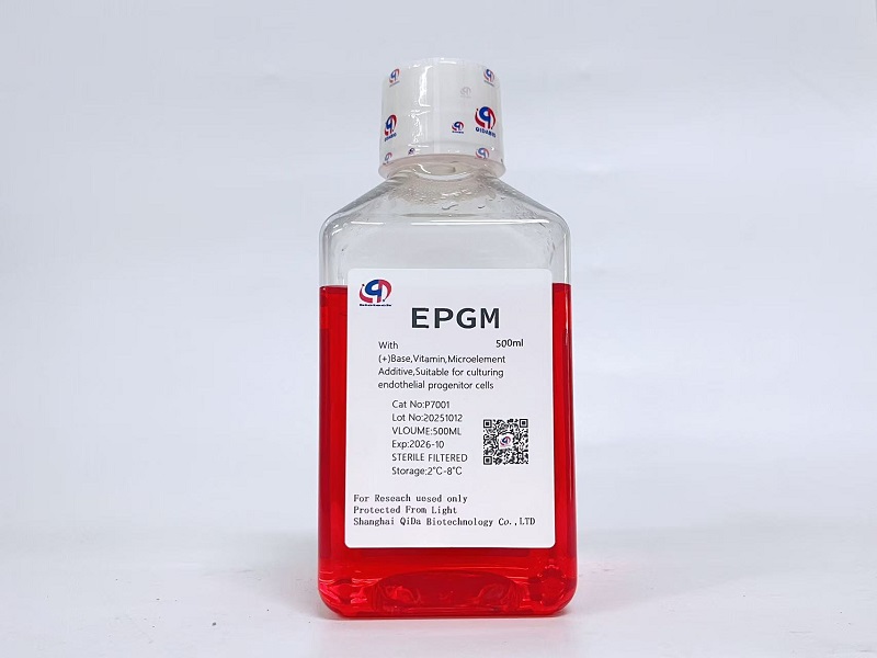EPGM-b内皮祖细胞基础培养基