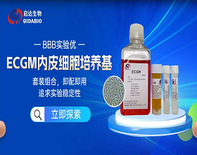 Summary of Phenotypic Research on Endothelial Cells