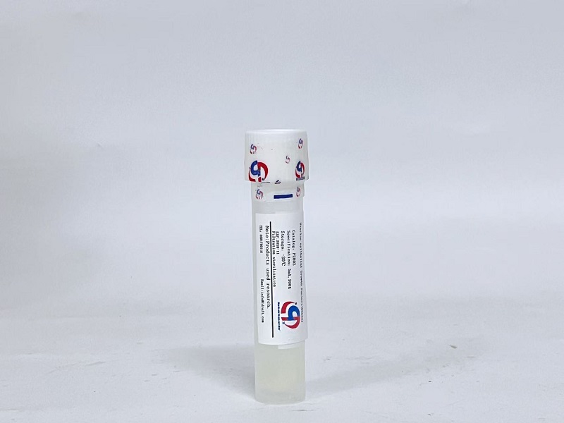 子宫上皮细胞生长因子（UEGCS）