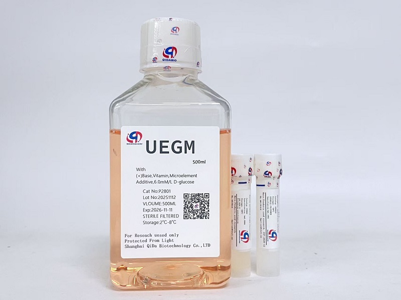 UEGM子宫上皮细胞培养基