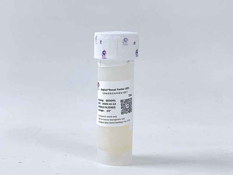 OrgCult™Renal 肾癌类器官培养基生长因子